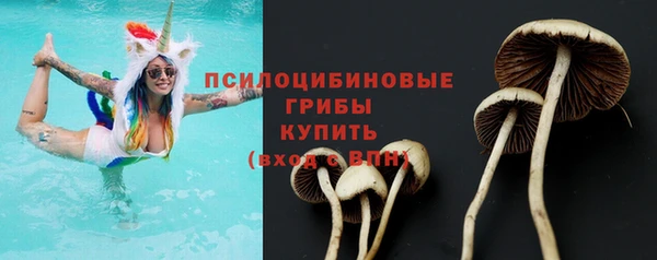 шишки Алексеевка